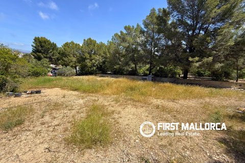 Land plot for sale in Santa Ponsa, Mallorca, Spain 1144 sq.m. No. 168143 - photo 5