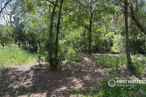 Villetta a schiera in vendita a Sencelles, Mallorca, Spagna 4 camere da letto, 246 mq. N° 168146 - foto 9