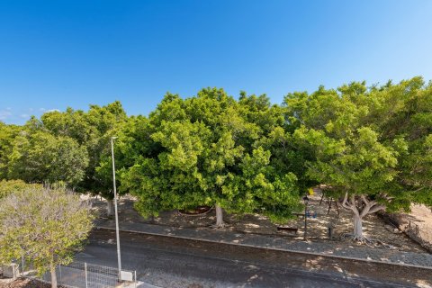 Villa till salu Pilar de la Horadada, Alicante, Spanien 3 sovrum, 132 kvm. Nr. 76939 - foto 27