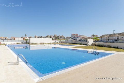 Appartamento in vendita a La Mata, Alicante, Spagna 2 camere da letto, 65 mq. N° 56586 - foto 13