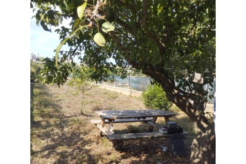 Māja pārdošanā El Migjorn Gran, Menorca, Spānijā 61 m2 Nr. 183188 - attēls 4
