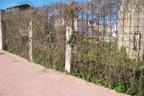 Terreno a Ferreries, Menorca, Spagna N° 183189