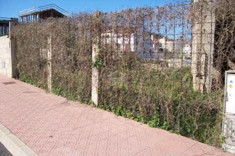 Terreno in vendita a Ferreries, Menorca, Spagna N° 183189 - foto 3