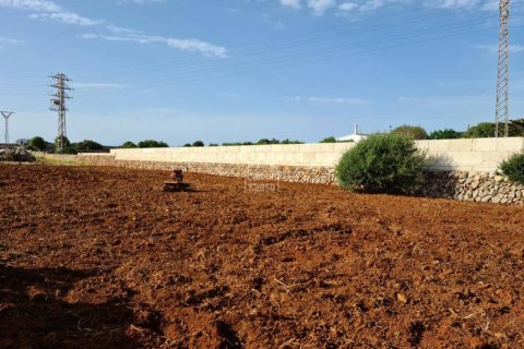 Land zum Verkauf in Ciutadella De Menorca, Menorca, Spanien Nr. 183191 - Foto 4