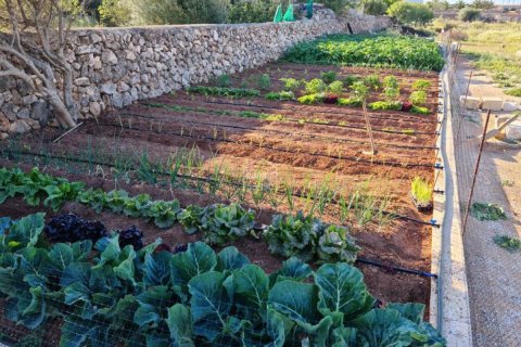 Terreno a Ciutadella De Menorca, Menorca, Spagna N° 183191