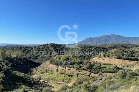 Tontti myytävänä Estepona, Malaga, Espanja , 475 m2 No. 158995 - kuva 9