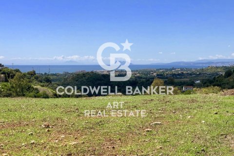 Tontti myytävänä Estepona, Malaga, Espanja , 475 m2 No. 158994 - kuva 3