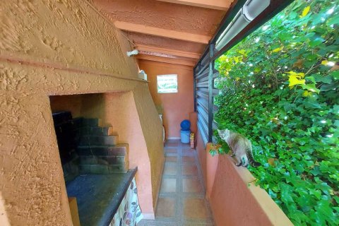 Finca pārdošanā Calasparra, Murcia, Spānijā 3 istabas, 160 m2 Nr. 163145 - attēls 13