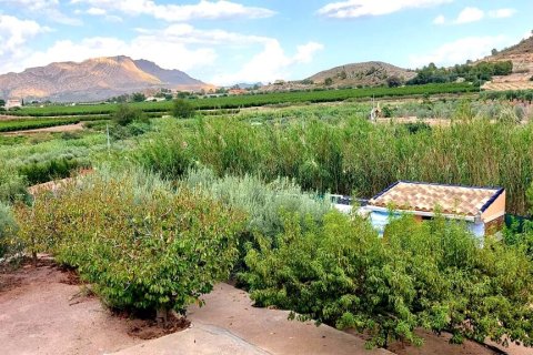 Villa pārdošanā Calasparra, Murcia, Spānijā 3 istabas, 800 m2 Nr. 163144 - attēls 5