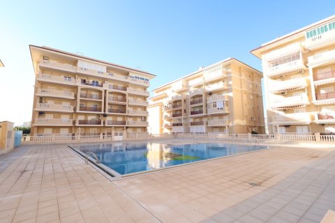 Wohnung zum Verkauf in La Mata, Alicante, Spanien 3 Schlafzimmer, 85 m2 Nr. 145271 - Foto 18