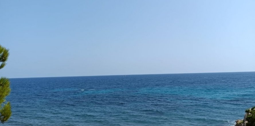 Działka w L'Ametlla de Mar, Tarragona, Hiszpania 4000 mkw. nr 153824