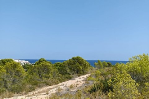 Działka w L'Ametlla de Mar, Tarragona, Hiszpania 4000 mkw. nr 153824 – zdjęcie 5