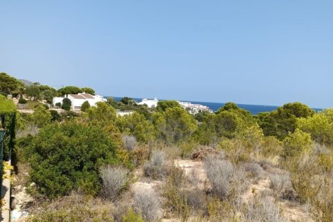 Działka w L'Ametlla de Mar, Tarragona, Hiszpania 4000 mkw. nr 153824 – zdjęcie 3