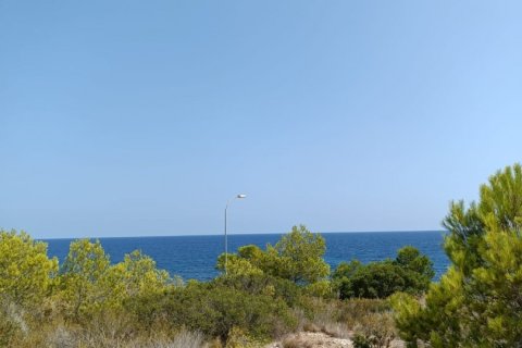 Działka w L'Ametlla de Mar, Tarragona, Hiszpania 4000 mkw. nr 153824 – zdjęcie 2