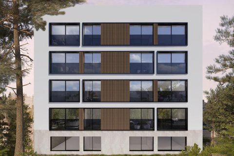 COLON 16 w Guardamar del Segura, Alicante, Hiszpania nr 164826