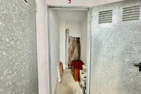 Varasto myytävänä Torrevieja, Alicante, Espanja , 3 m2 No. 190479 - kuva 3
