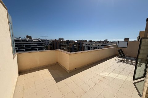 Penthouse for sale in San Juan, Alicante, Spain 2 bedrooms, 103 sq.m. No. 190476 - photo 18