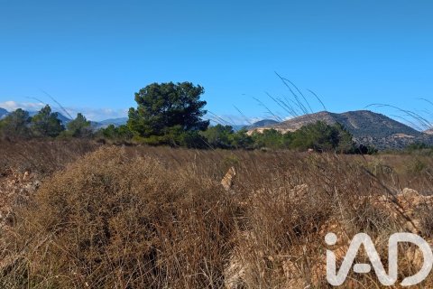 Parcela en venta en Lorca, Murcia, España 11000 m2 No. 188453 - foto 18