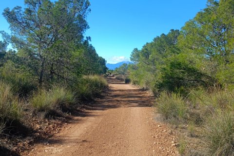 Parcela en venta en Lorca, Murcia, España 11000 m2 No. 188453 - foto 26