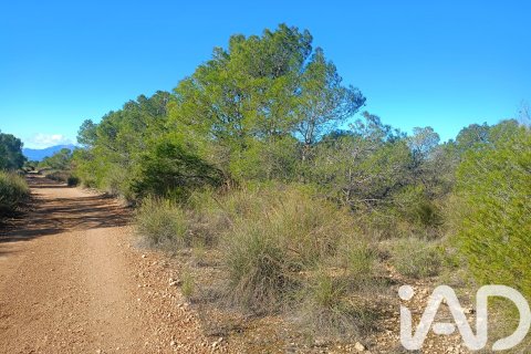Parcela en venta en Lorca, Murcia, España 11000 m2 No. 188453 - foto 27