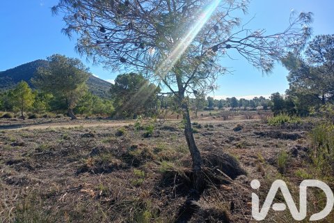 Parcela en venta en Lorca, Murcia, España 11000 m2 No. 188453 - foto 11