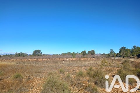 Parcela en venta en Lorca, Murcia, España 11000 m2 No. 188453 - foto 4