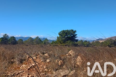 Parcela en venta en Lorca, Murcia, España 11000 m2 No. 188453 - foto 14