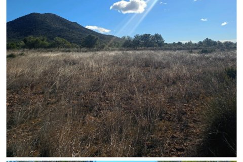 Parcela en Lorca, Murcia, España 11000 m2 No. 188453