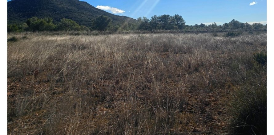 Parcela en Lorca, Murcia, España 11000 m2 No. 188453