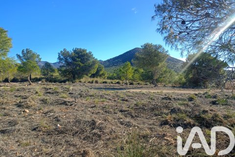 Parcela en venta en Lorca, Murcia, España 11000 m2 No. 188453 - foto 9