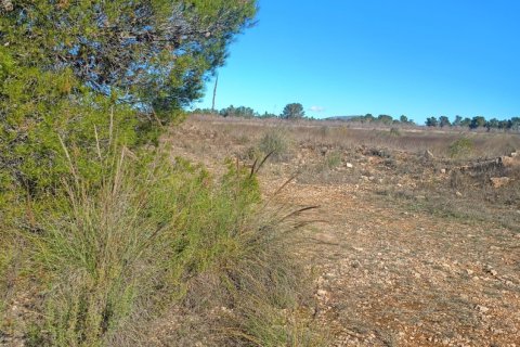 Parcela en venta en Lorca, Murcia, España 11000 m2 No. 188453 - foto 28