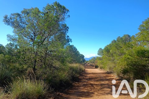 Parcela en venta en Lorca, Murcia, España 11000 m2 No. 188453 - foto 24