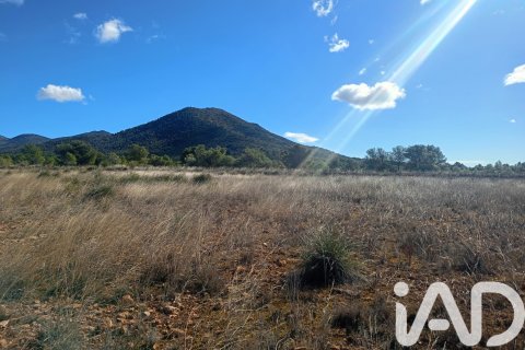 Parcela en venta en Lorca, Murcia, España 11000 m2 No. 188453 - foto 30