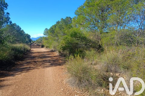 Parcela en venta en Lorca, Murcia, España 11000 m2 No. 188453 - foto 23