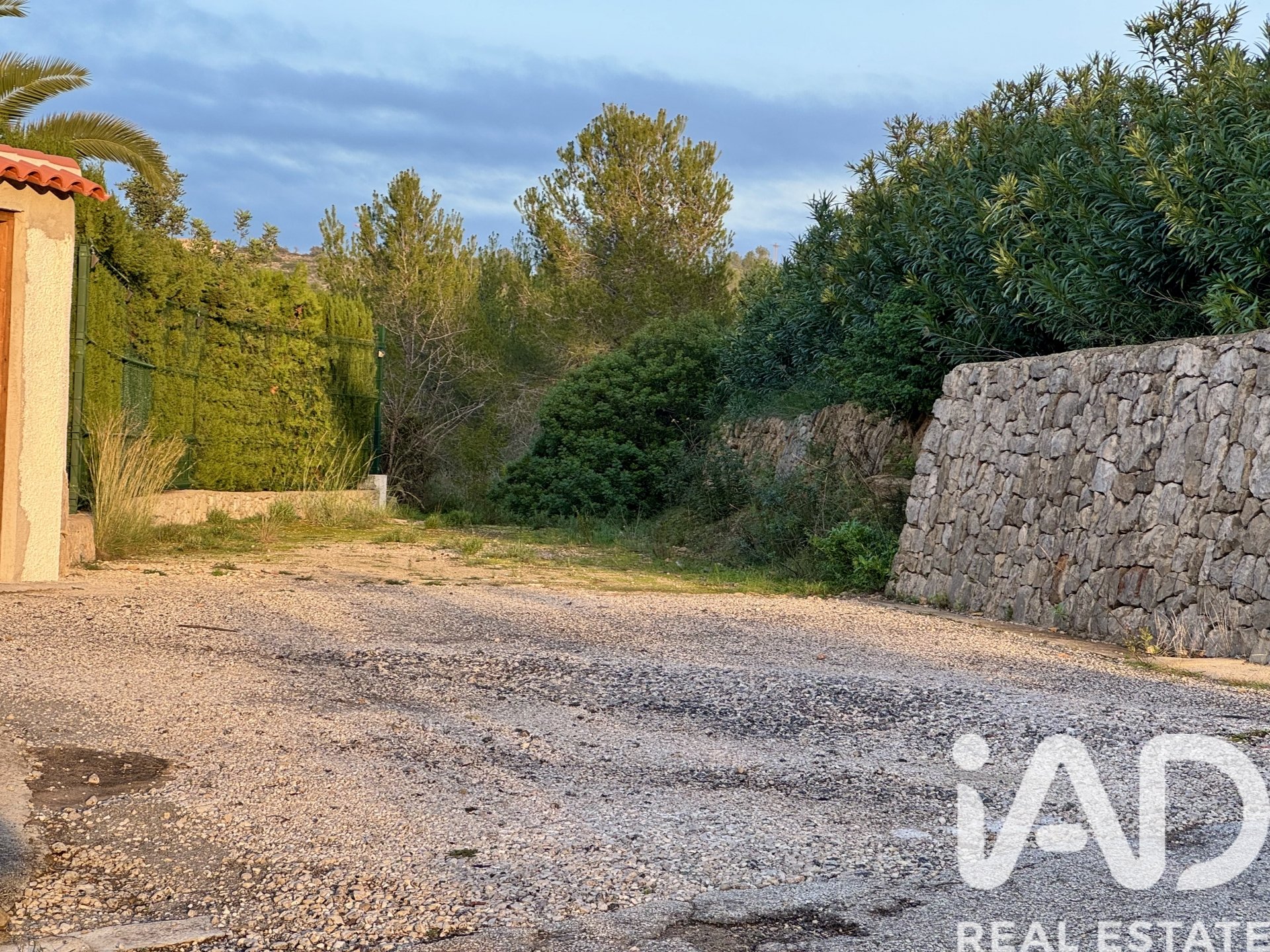 Terreno a Benidoleig, Alicante, Spagna 3282 mq. N° 185443