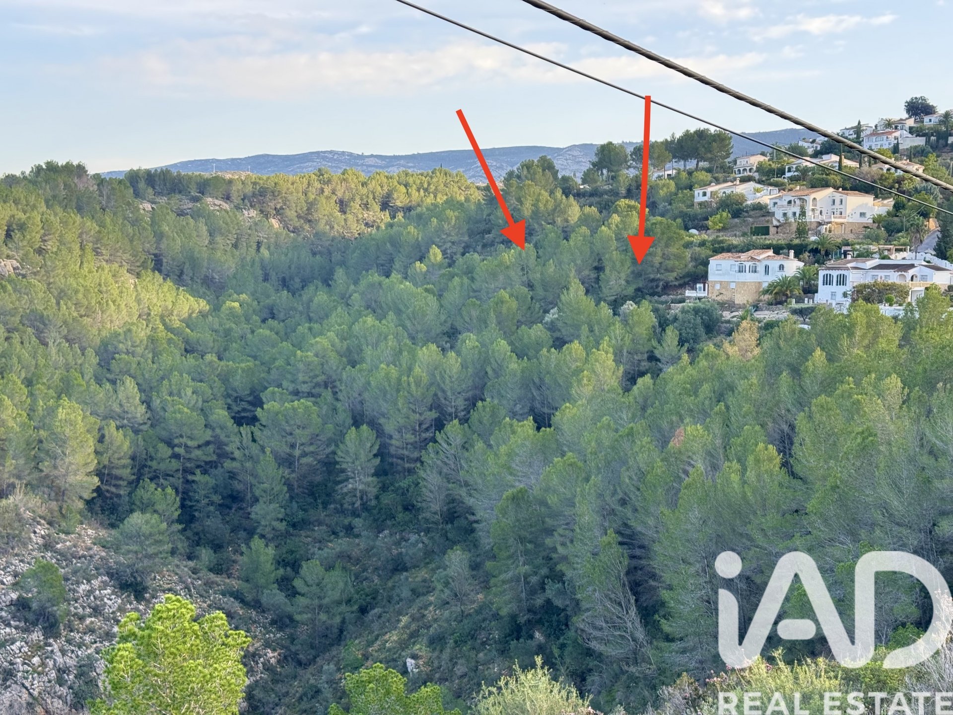 Terreno a Benidoleig, Alicante, Spagna 3282 mq. N° 185443