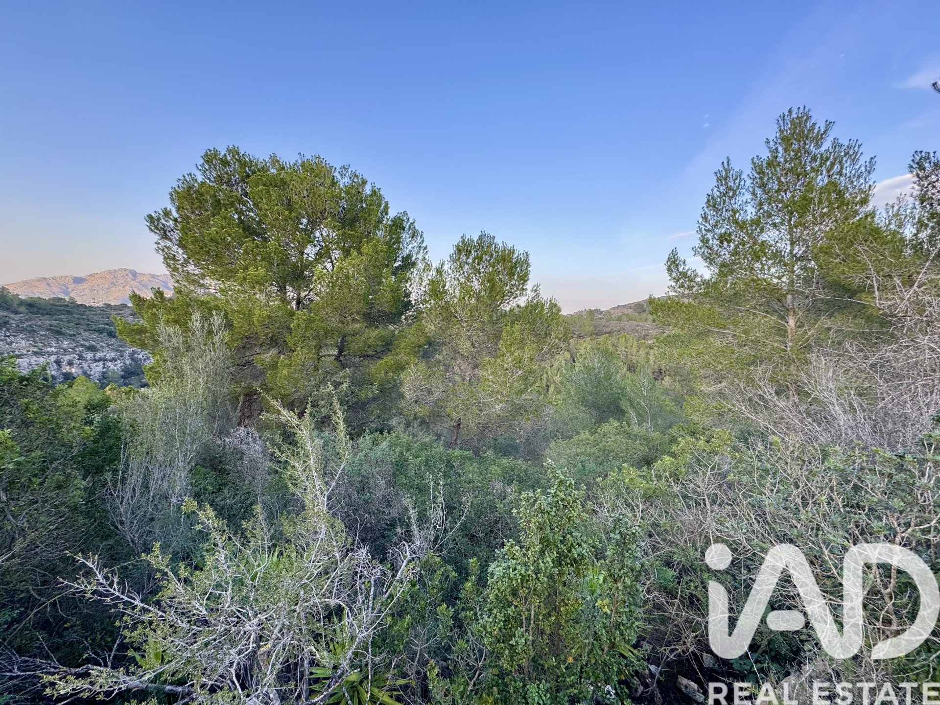 Terreno a Benidoleig, Alicante, Spagna 3282 mq. N° 185443