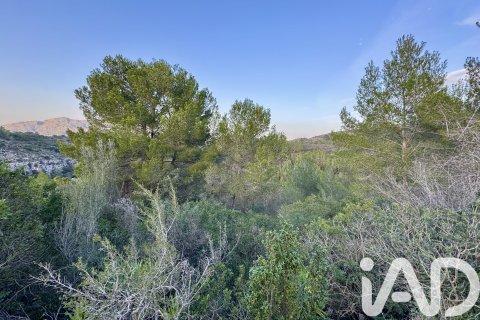 Terreno in vendita a Benidoleig, Alicante, Spagna 3282 mq. N° 185443 - foto 4