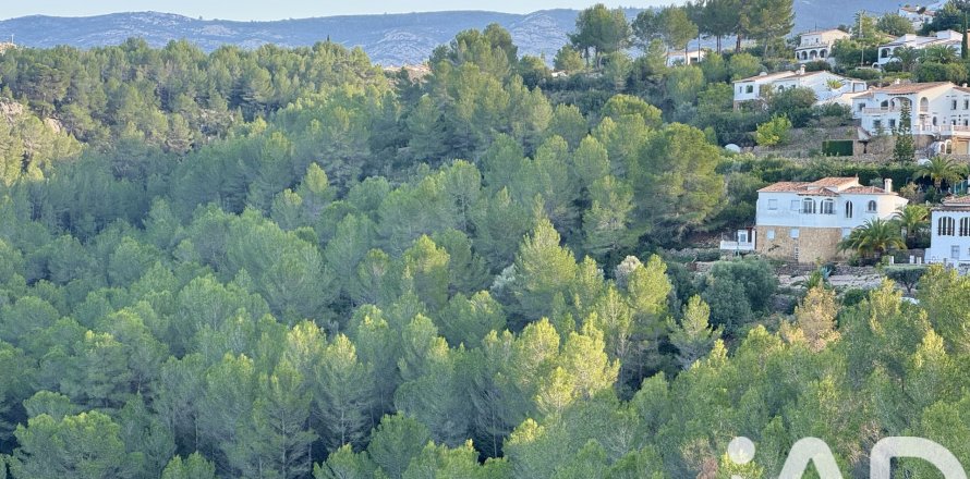 Terreno a Benidoleig, Alicante, Spagna 3282 mq. N° 185443
