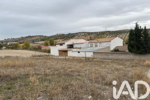 Продажа земельного участка в Доминго Перес, Толедо, Испания 2471м2 №185442 - фото 4