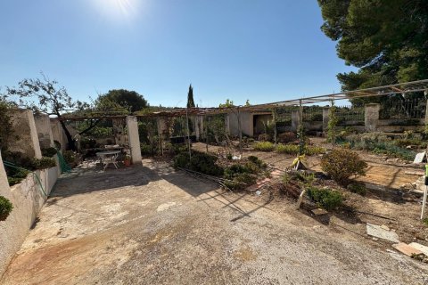 House à vendre Villajoyosa, Alicante, Espagne, 10 chambres, 804 m2 No. 139250 - photo 6
