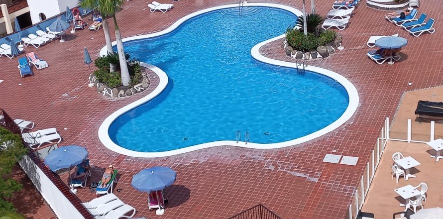 Lägenhet i Arona, Tenerife, Spanien 1 sovrum, 55 kvm. Nr. 152591