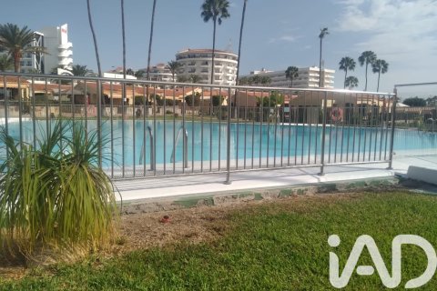 Talo myytävänä San Bartolome De Tirajana, Gran Canaria, Espanja, 1 makuuhuone, 36 m2 No. 152485 - kuva 22