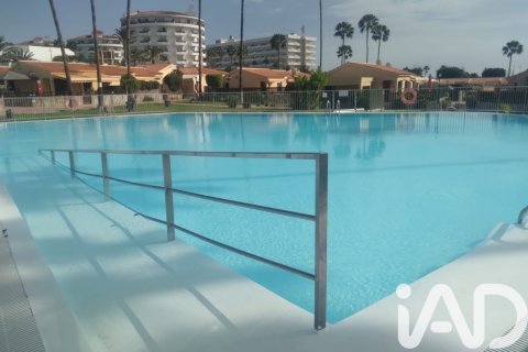 Talo myytävänä San Bartolome De Tirajana, Gran Canaria, Espanja, 1 makuuhuone, 36 m2 No. 152485 - kuva 23