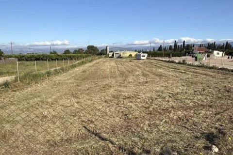 Zemes gabals San Rafael Del Rio, Castellon, Spānijā 2419 m2 Nr. 184991
