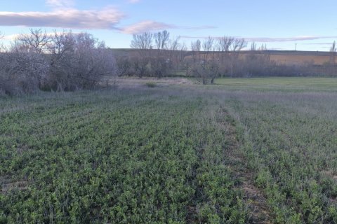 Parcela en venta en Pajares De Los Oteros, León, España 1388 m2 No. 184988 - foto 14