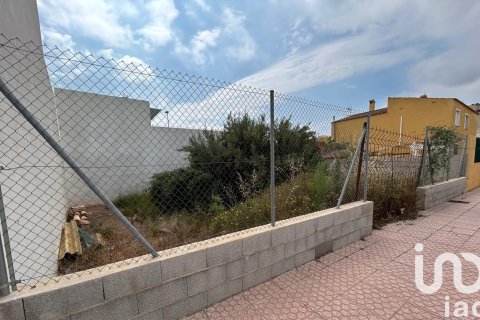 Parcela en venta en Les Alqueries, Castellón, España 117 m2 No. 185890 - foto 3