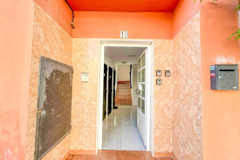 Appartamento in vendita a San Miguel de Salinas, Alicante, Spagna 5 camere da letto, 284 mq. N° 190317 - foto 3