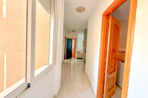 Appartamento in vendita a San Miguel de Salinas, Alicante, Spagna 5 camere da letto, 284 mq. N° 190317 - foto 20
