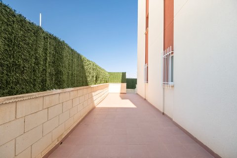 Apartament w Alicante, Hiszpania 2 sypialnie,  nr 167311 – zdjęcie 7